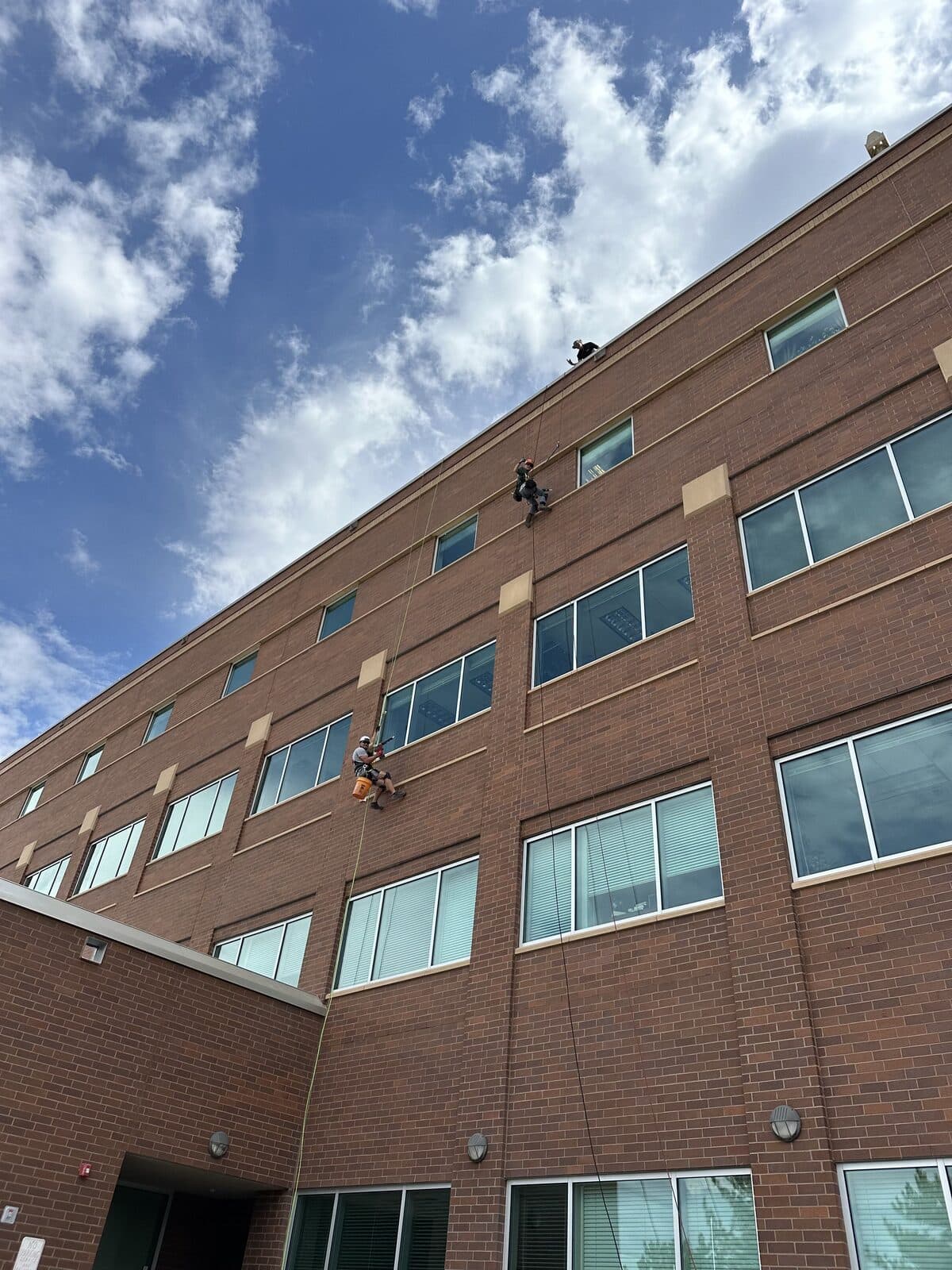 Texas Wildlife Specialists crew rappelling a commercial office building during bat exclusion work