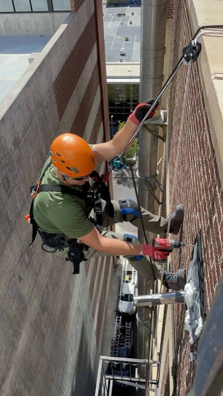 Texas Wildlife Specialists technician rappelling to remove a large bat colony