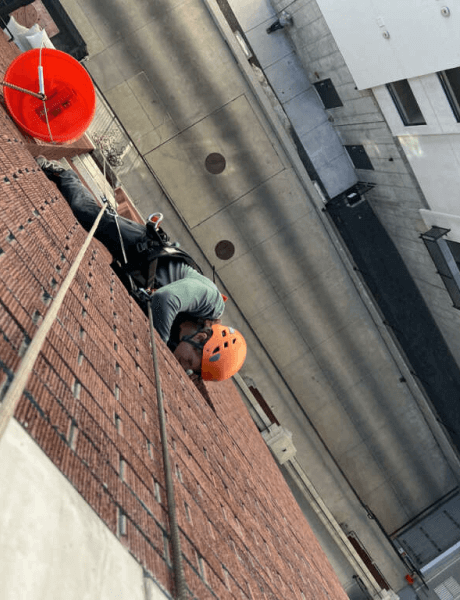 Bat guano cleanup technician in Austin